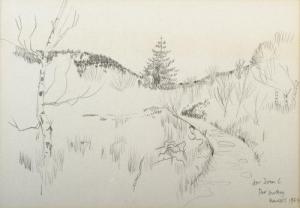 HICKEY Patrick 1927-1998,Mountain Stream,1987,Adams IE 2011-06-01