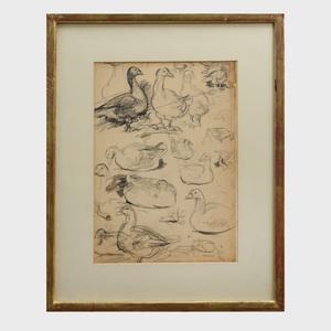 HIGGINS Eugene 1874-1958,Duck Studies,Stair Galleries US 2019-04-27