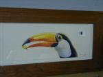 HIGGS DEREK,GUINESS TOUCAN with a GRAPE in its beak,Richardsons GB 2008-11-20