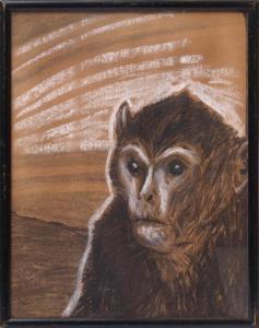 HILDENBRAND Adolf 1881-1944,Brustbild eines Affen,Bloss DE 2017-03-20