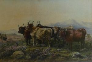 HILDYARD E,Highland Cattle in a Scottish landscape,1893,Tamlyn & Son GB 2009-04-07