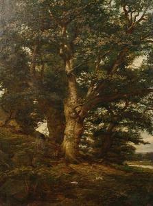 HILL Arthur 1858-1893,Oak in Bradgate Park,1863,Bonhams GB 2011-01-18