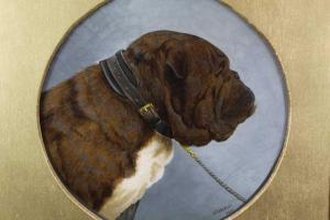 HILL C.M,portrait of a Bulldog,1907,Reeman Dansie GB 2021-01-26