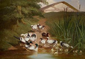 HILL Thomas J 1800-1800,Ducks and Ducklings by a Pond,Shapiro Auctions US 2015-05-16