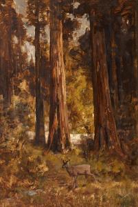 HILL Thomas 1829-1908,Redwood grove with deer,Bonhams GB 2013-04-30
