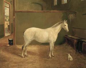 HILL W.H 1800-1800,Kitty, a grey horse in a stable,Christie's GB 2002-06-13