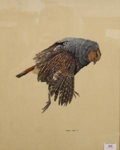 HILLIER Matthew 1958,Still Life of a Bird,Rowley Fine Art Auctioneers GB 2021-07-31