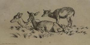 HILLS Robert 1769-1844,Deer and two fawns,Rosebery's GB 2017-12-06