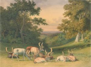 HILLS Robert 1769-1844,Fallow deer in a forest clearing,1841,Bonhams GB 2023-04-04