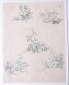 HILLS Robert 1769-1844,Five vignette studies of flora,Lacy Scott & Knight GB 2020-03-21