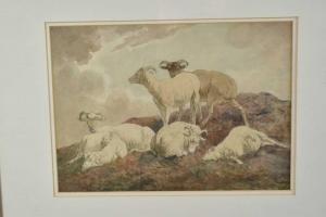 HILLS Robert 1769-1844,Sheep at Rest,Reeman Dansie GB 2023-03-19