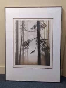 HILON France 1942,duck in flight amongst trees in silhouette,Henry Adams GB 2021-11-11