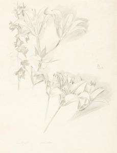 HIRSCH Stefan 1899-1964,Two floral still lifes,1921,Swann Galleries US 2022-06-30