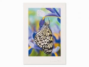 HIRST Damien 1965,Love Prints - Paper Kite Butterfly,2011,Auctionata DE 2016-09-17
