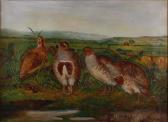 HOARE William Webster 1841-1927,A group of partridge in a landscape,1896,Bonhams GB 2011-01-05