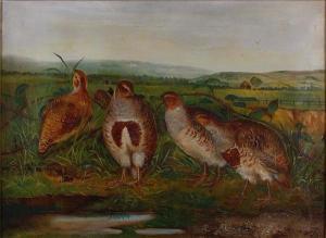 HOARE William Webster 1841-1927,A group of partridge in a landscape,1896,Bonhams GB 2011-01-19
