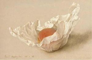 HODGKIN Eliot 1905-1987,Apricot in Paper,1925,Christie's GB 2003-07-03