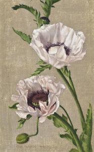 HODGKIN Eliot 1905-1987,Pink poppies,1952,Christie's GB 2013-10-16