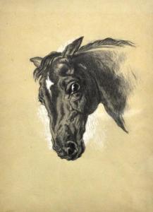 HODGSON Meriel,Study of a Horses Head,Gilding's GB 2015-10-06