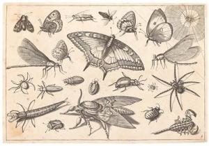 HOEFNAGEL Jakob 1575-1630,Insects, butterflies and scorpions,1630,Palais Dorotheum AT 2017-09-27