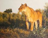 Hoefsloot Ted 1930-2013,'Alert' lioness,Bonhams GB 2010-03-23