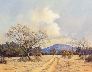 Hoefsloot Ted 1930-2013,Waterberg Near Potgietersrust,1990,5th Avenue Auctioneers ZA 2022-06-05