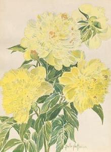 HOFFMAN Belle 1889,Yellow peonies,Aspire Auction US 2018-06-02