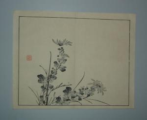 HOITSU,À thème de chrysanthèmes,1880,Neret-Minet FR 2012-03-02