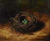 HOLD B.L. 1800-1900,Bird's nest with four speckled eggs,1898,Morphets GB 2017-03-02
