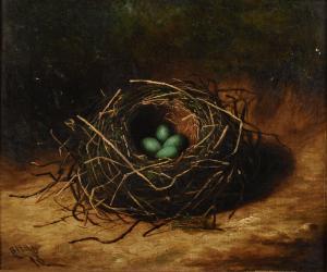 HOLD B.L. 1800-1900,Bird's nest with four speckled eggs,1898,Morphets GB 2017-03-02