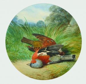 HOLD B.L. 1800-1900,With Two Chaffinch's,John Nicholson GB 2016-03-09
