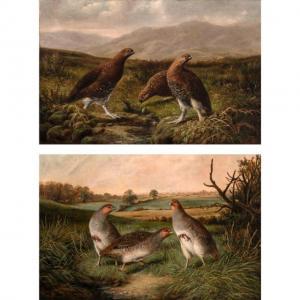 HOLD Benjamin, Ben,Three Partridges in a Field and Grouse on the Moor,1896,William Doyle 2019-02-13