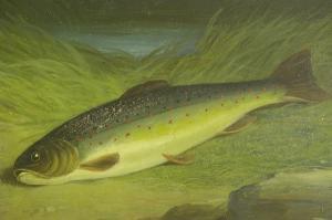 Hold Florance,Trout on the riverbank,Bonhams GB 2005-10-14