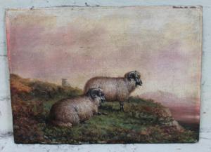 HOLD Tom 1800-1900,Sheep,Warren & Wignall GB 2018-06-27