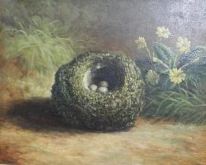 HOLD Tom 1800-1900,still lifes of nests,Mallams GB 2018-04-09