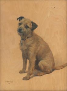 HOLLAMS Florence Mabel 1877-1963,'Tilly' - A Border Terrier Puppy,Bonhams GB 2023-11-08
