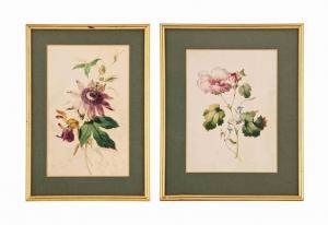 HOLLAND Thomas 1795-1865,A passion flower,Christie's GB 2016-01-13