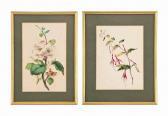 HOLLAND Thomas 1795-1865,Holland  Apple Blossom,Christie's GB 2016-01-13