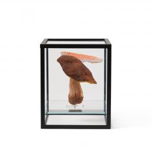 HOLLER Carsten 1961,Doppelpilzvitrine (1 Doppelpilz) (Double-mushroom ,2009,Sotheby's GB 2023-09-21