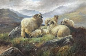 HOLLYER William Perring 1834-1922,Sheep Resting in a Highland La,1999,Duggleby Stephenson (of York) 2023-03-10