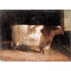 HOLMES B,A PRIZE SHORTHORN IN A STABLE,1859,Sotheby's GB 2005-10-12