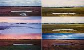 HOLOWNIA THADDEUS 1949,From: Jolicure Pond Series,1996/99,Van Ham DE 2023-09-07