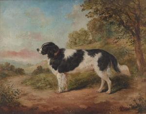 HOLT Edwin Frederick 1830-1912,Portrait of a Black and White Spaniel,1863,Freeman US 2024-04-17