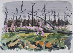 HOMER Rolfe,Spring Landscape,Rachel Davis US 2009-03-21