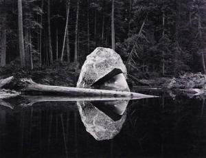 HOOPER Chip 1962,Fallen Tree,1997,Clars Auction Gallery US 2020-02-23