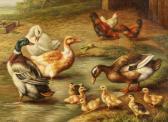 HOOPER H,A scene of chickens and ducks in a farm setting by a pond,John Nicholson GB 2021-08-11