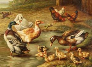 HOOPER H,A scene of chickens and ducks in a farm setting by a pond,John Nicholson GB 2021-08-11
