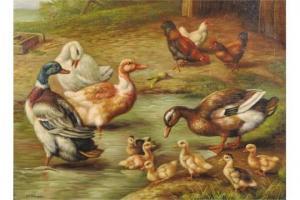 HOOPER H,Ducks and Ducklings,John Nicholson GB 2015-07-15
