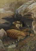 HOOPER Willoughby Wallace 1837-1912,lying tiger,Bonhams GB 2011-10-04