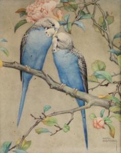 HOPKING Noel Hubert,A study of a pair of budgerigars,Batemans Auctioneers & Valuers 2018-05-05
